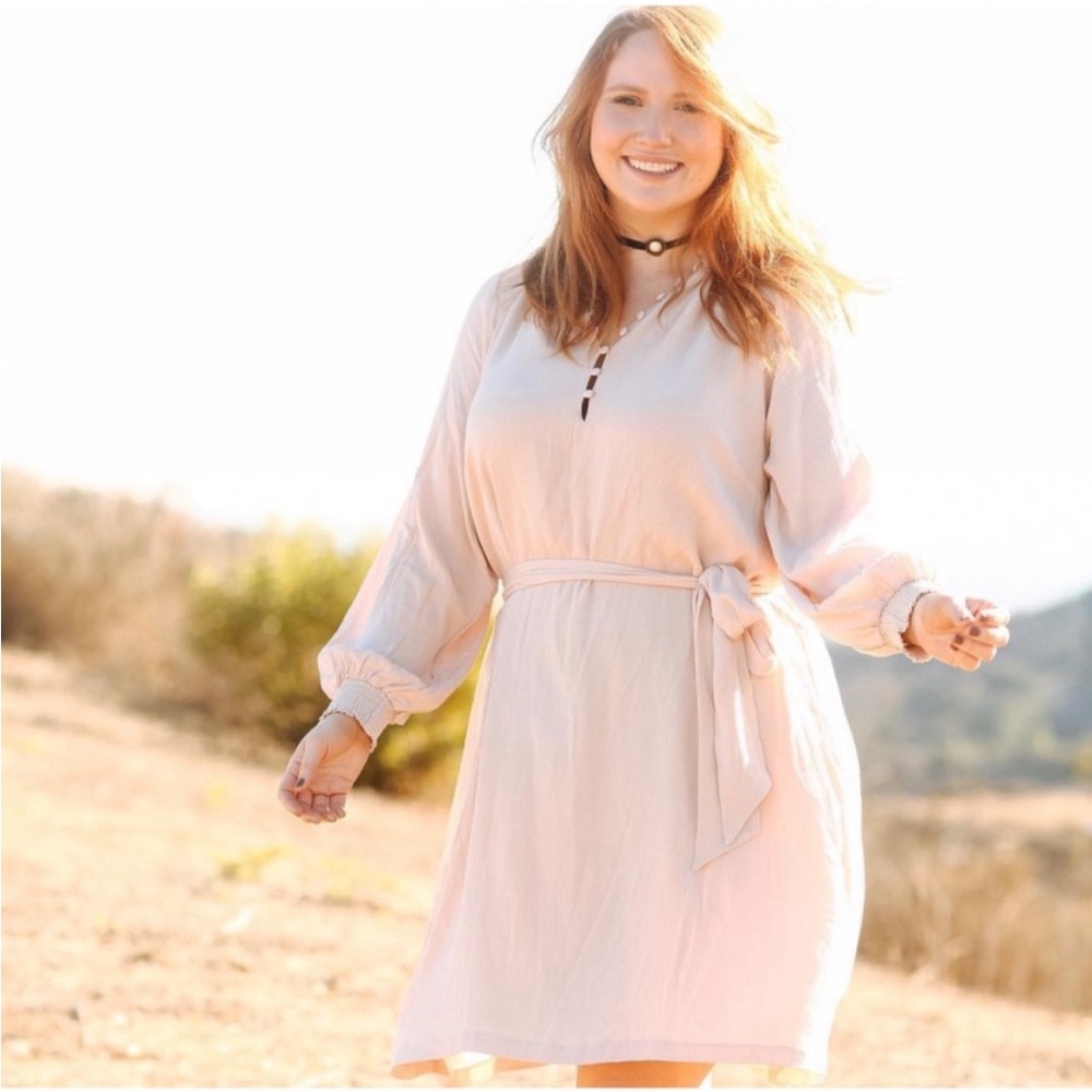 NWT Eloquii Smocked Collar Button Down Dress